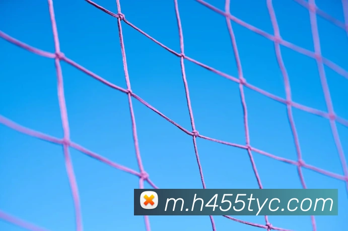 太阳成全站App 太阳成全站App